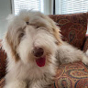 Meet your Posher, Joanna